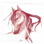 art_horse_anima-natura.com