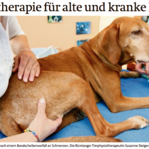Reportage über Hunde-Physio und Ostheopathie