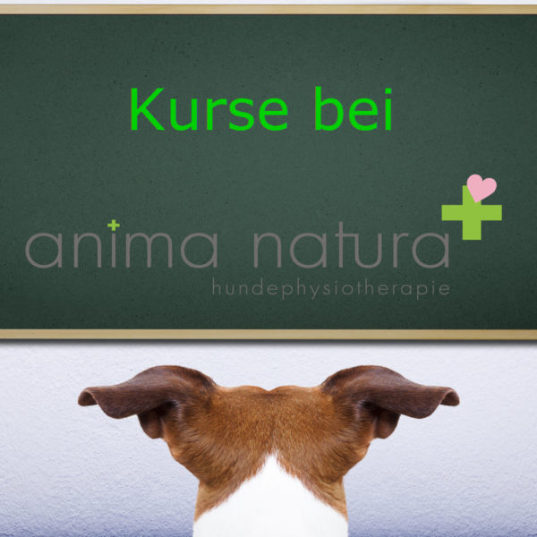 Kurse bei Anima-Natura_2018